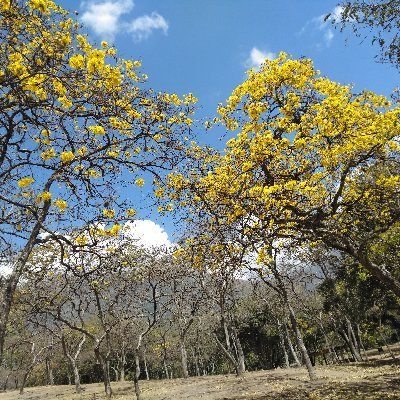 carmenmurga60's profile picture. 