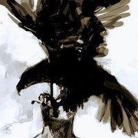 Black Kite Project (www.thinkpaws.org) (@delhikites) 's Twitter Profile
