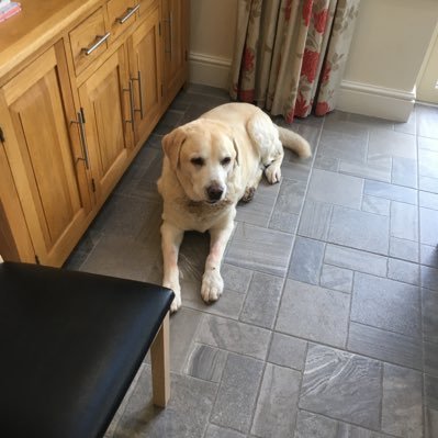 julie_jdjac's profile picture. 