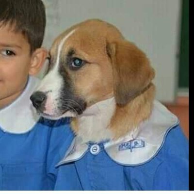 Sjsh55364779's profile picture. futbol
basketbol