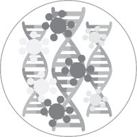 WashU Cancer Biology PhD Program (@washucancerbio) 's Twitter Profile