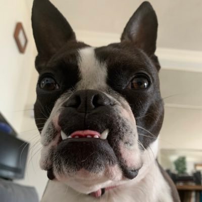 emma73295088's profile picture. she/her