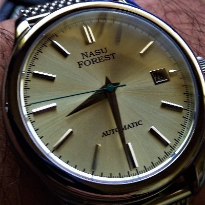 NASU FOREST WATCH (@WatchNasu) / X