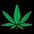 MMJ_Advocate's profile picture. Medical Marijuana Advocate