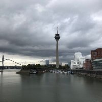 DüsseldorfNature (@dsseldorfnature) Twitter profile photo