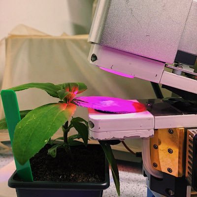 Research group @PlantSci @Cambridge_Uni , studying the physiology of photosynthesis and its interactions with environmental drivers to improve crop development.