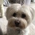 susie (@susieboast71) Twitter profile photo susie (@susieboast71) Twitter profile photo