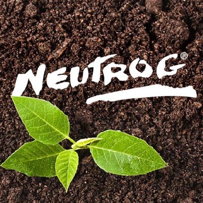 NeutrogC's profile picture. 