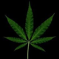 High End Bud and Breakfast...upscale, private, discreet place for high end clients to enjoy the 420 lifestyle.