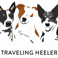 TRAVELING HEELERS CO(@travelinheelers) 's Twitter Profile Photo