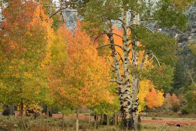 uknowmetoowell's profile picture. I love life!  Love is the key...