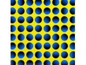 mark doan - @Mark_Bone - Twitter