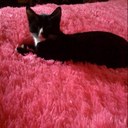 Kelley Paulson - @kelpaul29 - Twitter