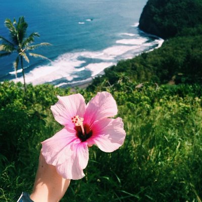 TheNewWorldRPG1's profile picture. dc oc