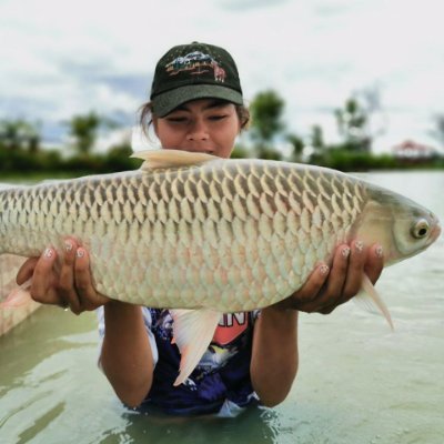 Private fishing lake for hire with over 55 different fish species including Giant Siamese Carp to over 100lb, Arapaima 300lb and Mekong Catfish 350lb.