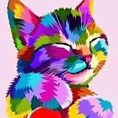 IzorKoyfin's profile picture. 