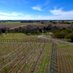 Chapelton Vineyards (@chapeltonv) Twitter profile photo Chapelton Vineyards (@chapeltonv) Twitter profile photo
