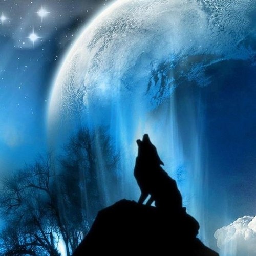 stormserge's profile picture. 