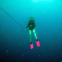 Sarah Caddy (@sarahmccaddy) 's Twitter Profile