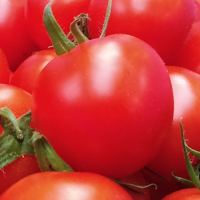 野洲でトマト🍅の生産・販売しています。
トマト🍅は自宅前の自動販売機でお求めいただけます。
自動販売機の仕様上、100円と500円硬貨しか使えません（お札は使用できません、お釣りは出ます）ので、ご利用の際は硬貨をご用意していらしてください。
注：新500円硬貨は使用できません。