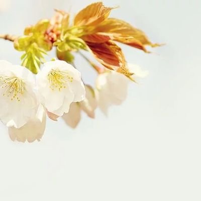 logout / 숲 속, 하늘 아래 6기さんのプロフィール画像