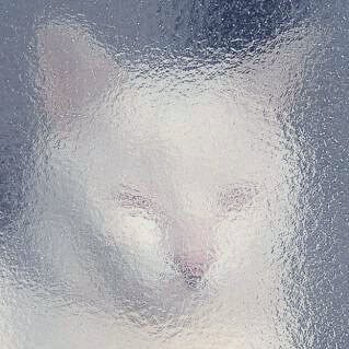 忘れてください