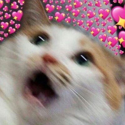 jk_chnk's profile picture. 