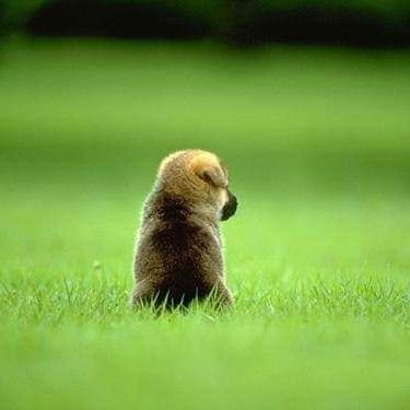 winning_much's profile picture. แค่หันหลังให้กับสิ่งที่เคยล้มเหลว