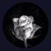 승냥이 (@oemfdtzr6iov4yl) Twitter profile photo 승냥이 (@oemfdtzr6iov4yl) Twitter profile photo