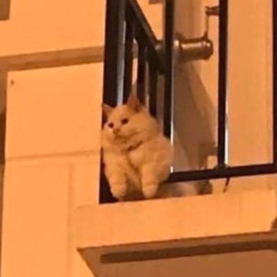 novemberainxx's profile picture. 