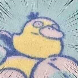 eoreunai's profile picture. support artists and animal friends