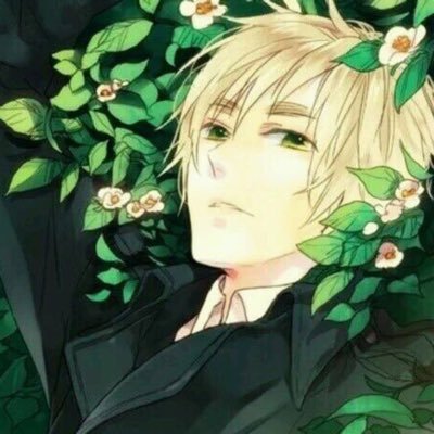 Chinese girl,oversea student in UK,HP and Hetalia Fan ,love Gryffindor,Fruk shipper,also like FACE Family