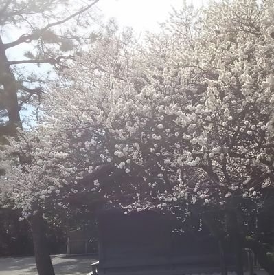 cG3Yd1MpttyI8l7's profile picture. YouTube！ゲーム実況やってます！
あつもり、スマブラなど