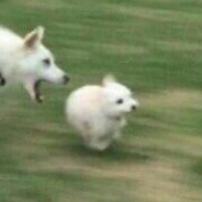 _tarnukas's profile picture. heaven is a place on earth with you 💛