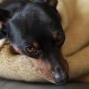 webdesign2020's profile picture. 40代で未経験からWebデザイナーになる！。デザインだけでなくコーディングもやります。初心者の方にも役立つ情報を共有していきたいです。