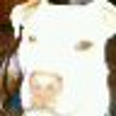 New York Post on Twitter: "Former MMA fighters beat down dads on golf