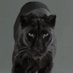 ECHaynes (@echaynes) Twitter profile photo ECHaynes (@echaynes) Twitter profile photo