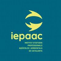 IEPAAC (@_iepaac) 's Twitter Profile