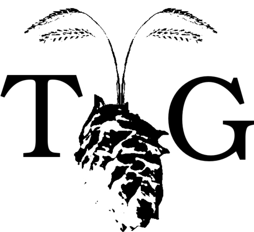 taigh_osda's profile picture. Homebrewer in the GWN.