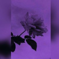 سفير الخوال 𓅓𓄱 (@lwt4xbdf9qpmdrb) 's Twitter Profile