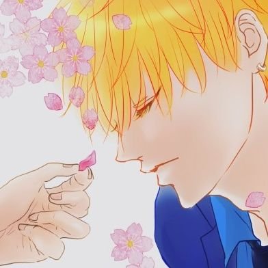 ざこさんのプロフィール画像