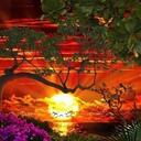 Selma Gomez - @xBlackSelFirex - Twitter