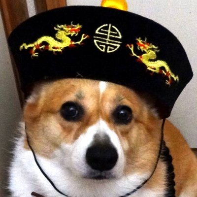 月花さんのプロフィール画像