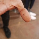 Daniel Silvester - @dssilvester - Twitter