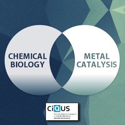 Research group working in the frontier of organic synthesis, catalysis and chemical biology @ciqususc. Current main focus: metal-catalysis at the living cell.