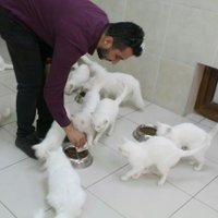 ErCaN (@ercan88fb) 's Twitter Profile