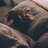 SleepGuru2023's profile image