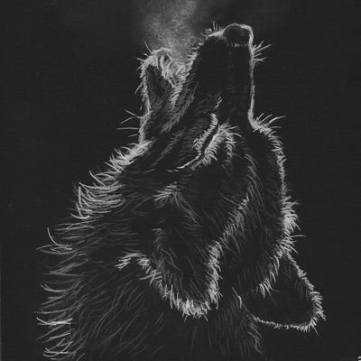 Scorpsss_'s profile picture. 