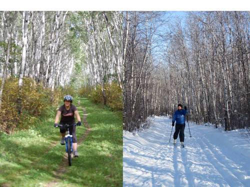 EstherArgyle's profile picture. 