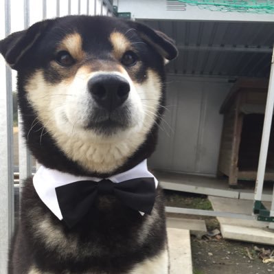 spiske_tk's profile picture. 